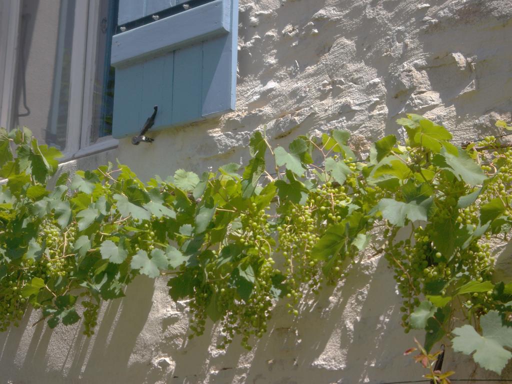 Les Trois Croix Villa Santenay  Exterior photo